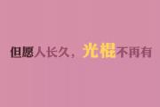 开云体育入口-拉梅洛魔术师再现！精准调度撕破防线，公牛团队篮球完美压制浙江猛攻