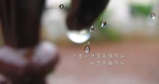 开云体育登录-利马之夜，秘鲁铁血逆转比利时，坎塞洛铸就强硬传奇