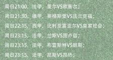 开云体育官网-包含欧预赛赛程调整，球员备战计划受影响的词条