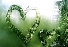 开云下载-韩国队翻盘马来西亚队，桃田贤斗惊艳四座