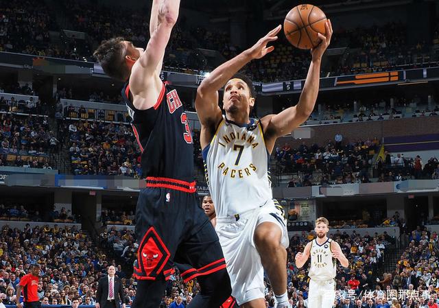 包含黄蜂不敌步行者，拉文得分高居的词条