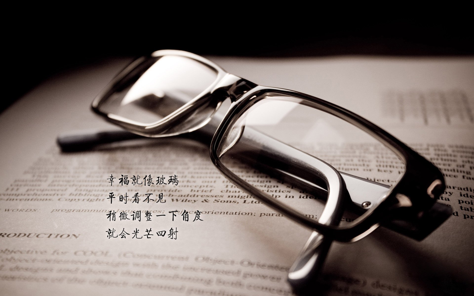 引擎与罗盘，恩佐如何成为葡萄牙巡航导弹的神经中枢