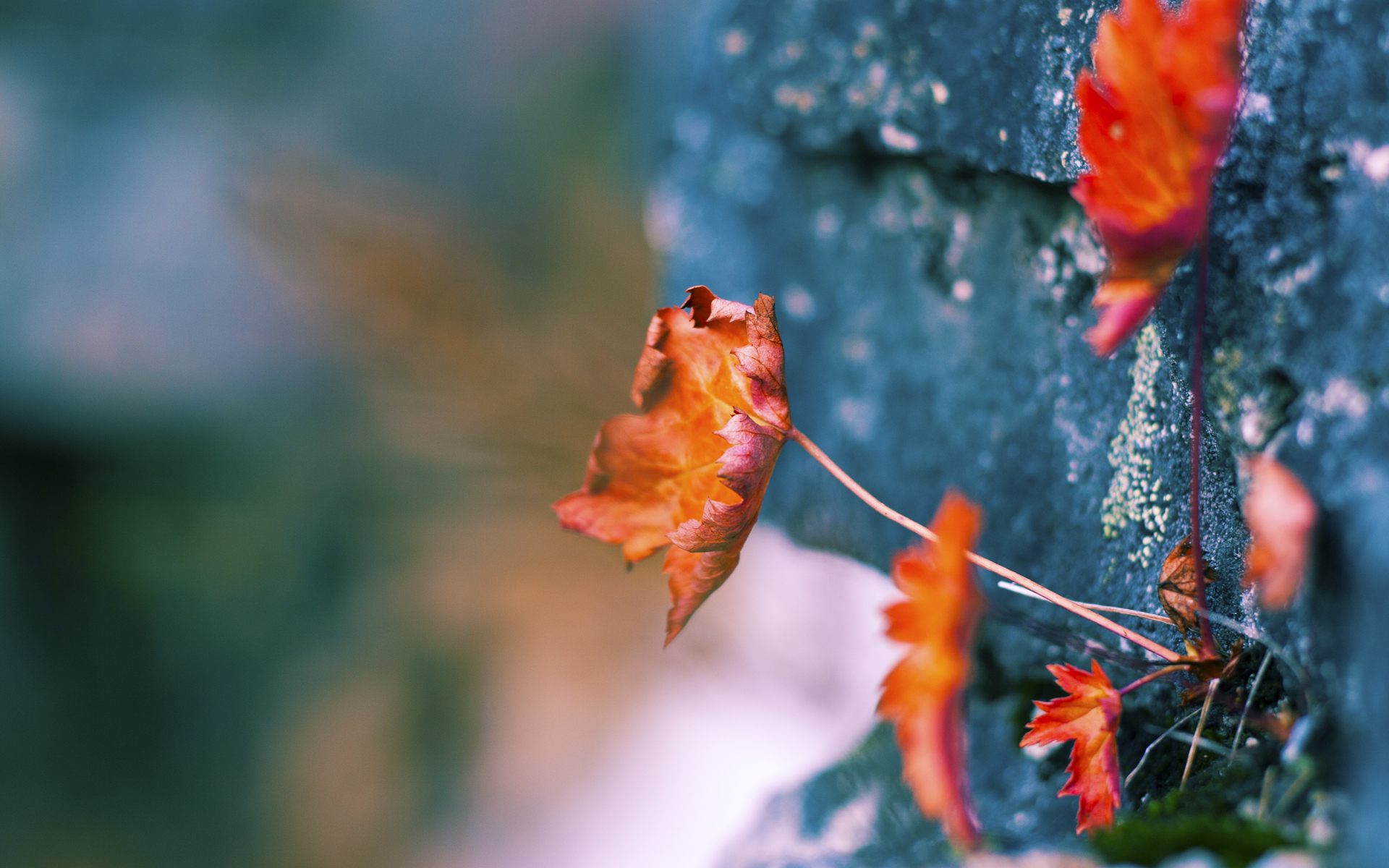 浙江队对阵热火，德罗赞攻防两端的史诗级统治