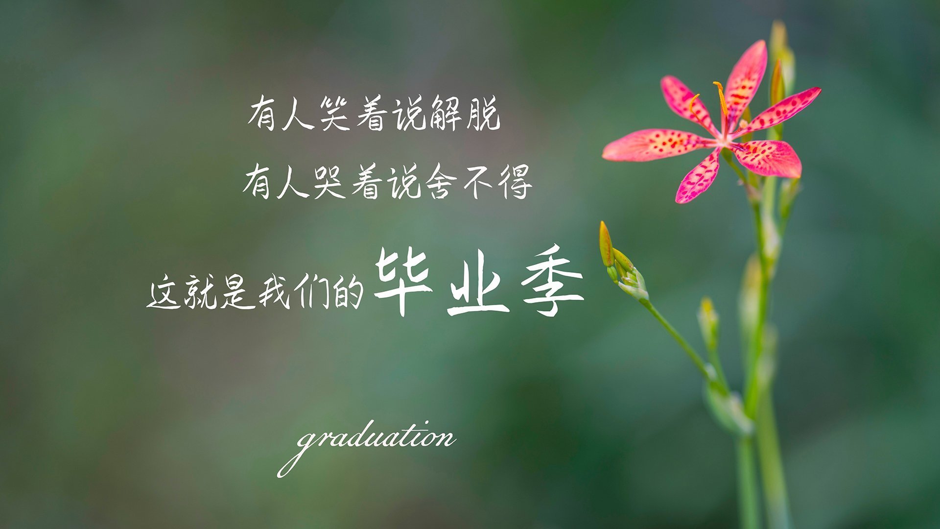 NBA总决赛之夜，拉文点燃赛场，英雄诞生