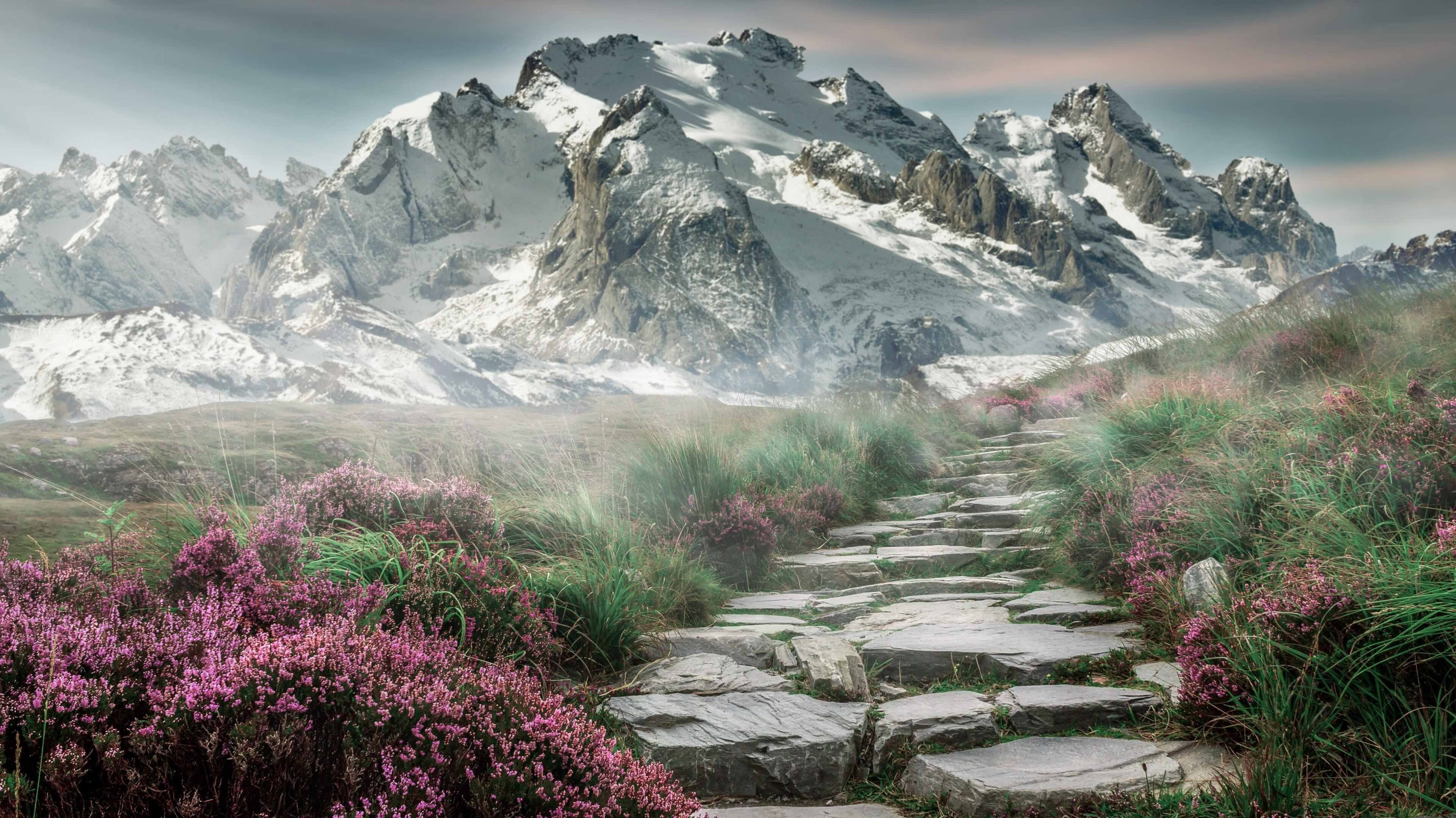 压不垮的脊梁,当牙买加的肌肉遇见C罗的火焰