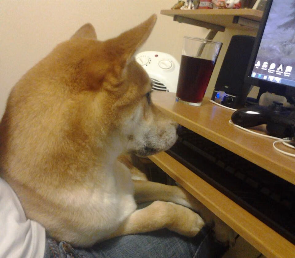 绿茵收割机，当拜仁的体系收割遭遇奥斯梅恩的无解天赋