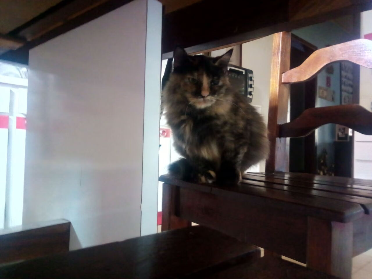 死神降临丹佛高原，伦纳德末节19分接管比赛，快船逆转掘金抢得先机