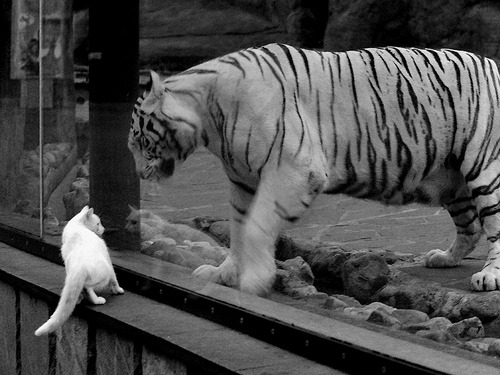 加纳轻取西班牙，迪亚斯持续制造杀伤的胜利之夜