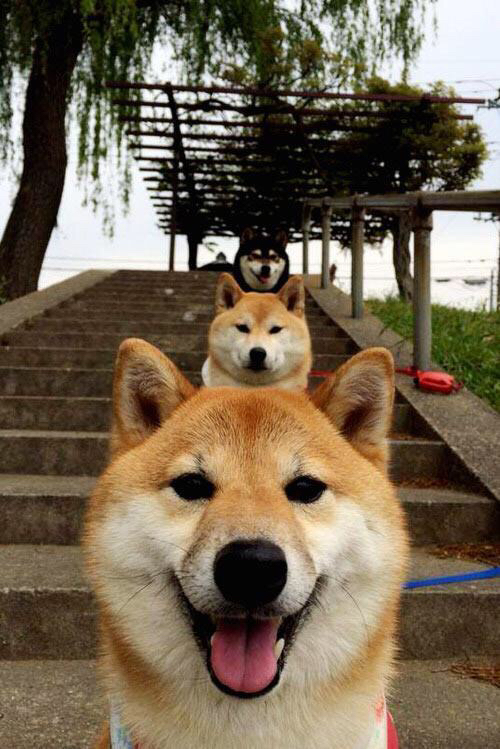 穆勒之夜,欧冠半决赛的魔法师与无声的领袖