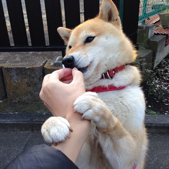 亚洲力量崛起,中国连续得分压制埃及,孙兴慜式的关键先生主宰赛场