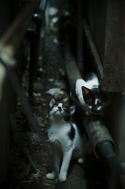 铁血中场，京多安攻防一体统治绿茵