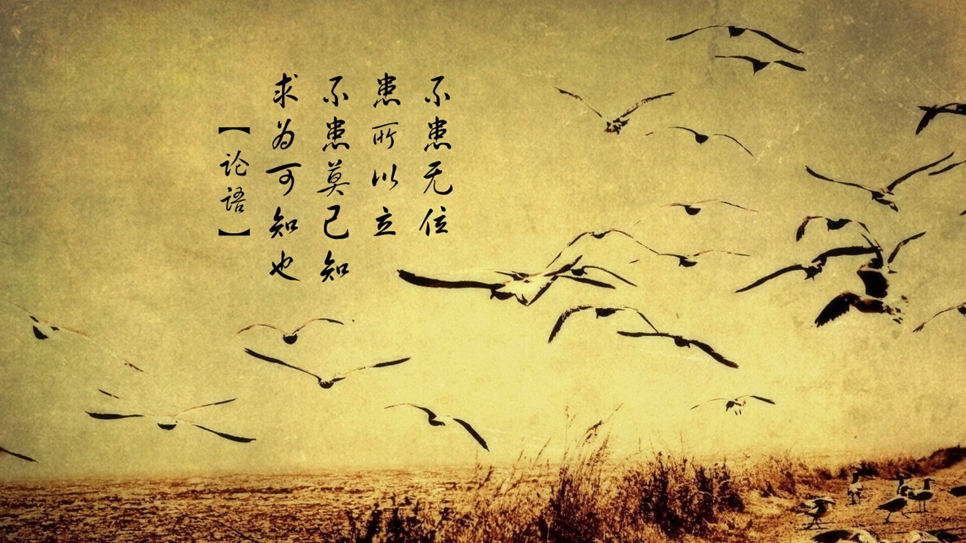 绿茵场上的篮球之心，当布伦森在欧冠之夜完成跨越赛场的证明