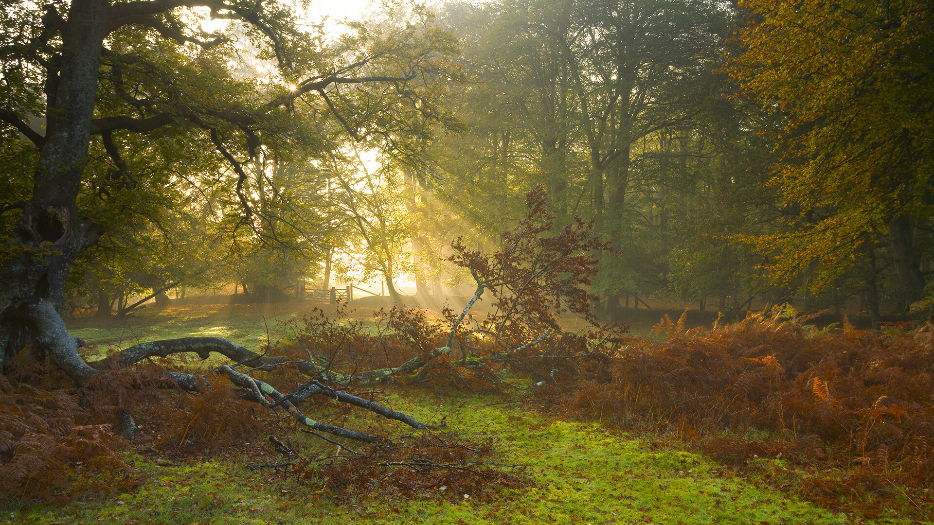 黑马奇迹！土耳其劲旅力克尤文，库尔图瓦三神扑定乾坤