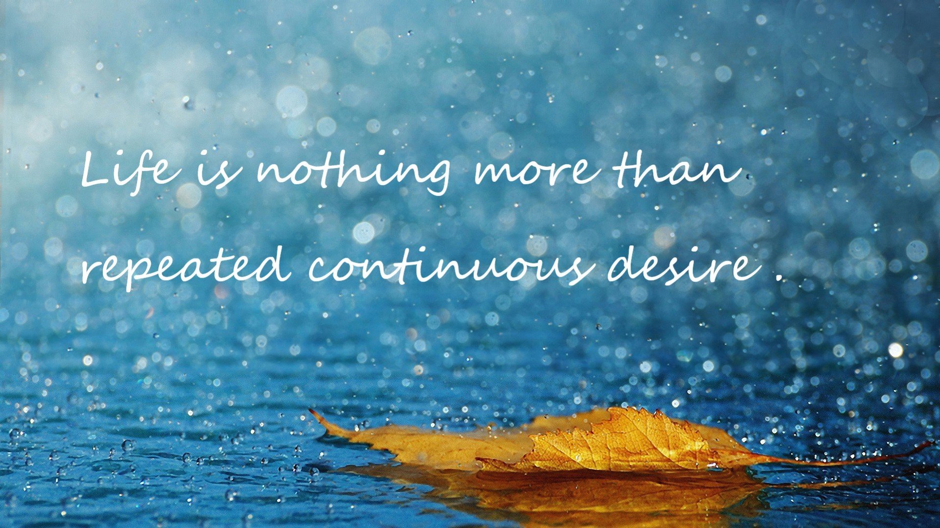 罗德里戈闪耀全场!葡萄牙力克韩国,新星交出统治级数据表