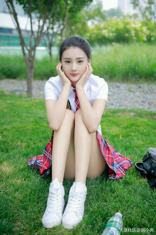 破晓时分，范戴克一锤定音，厄瓜多尔奇迹逆转勒沃库森