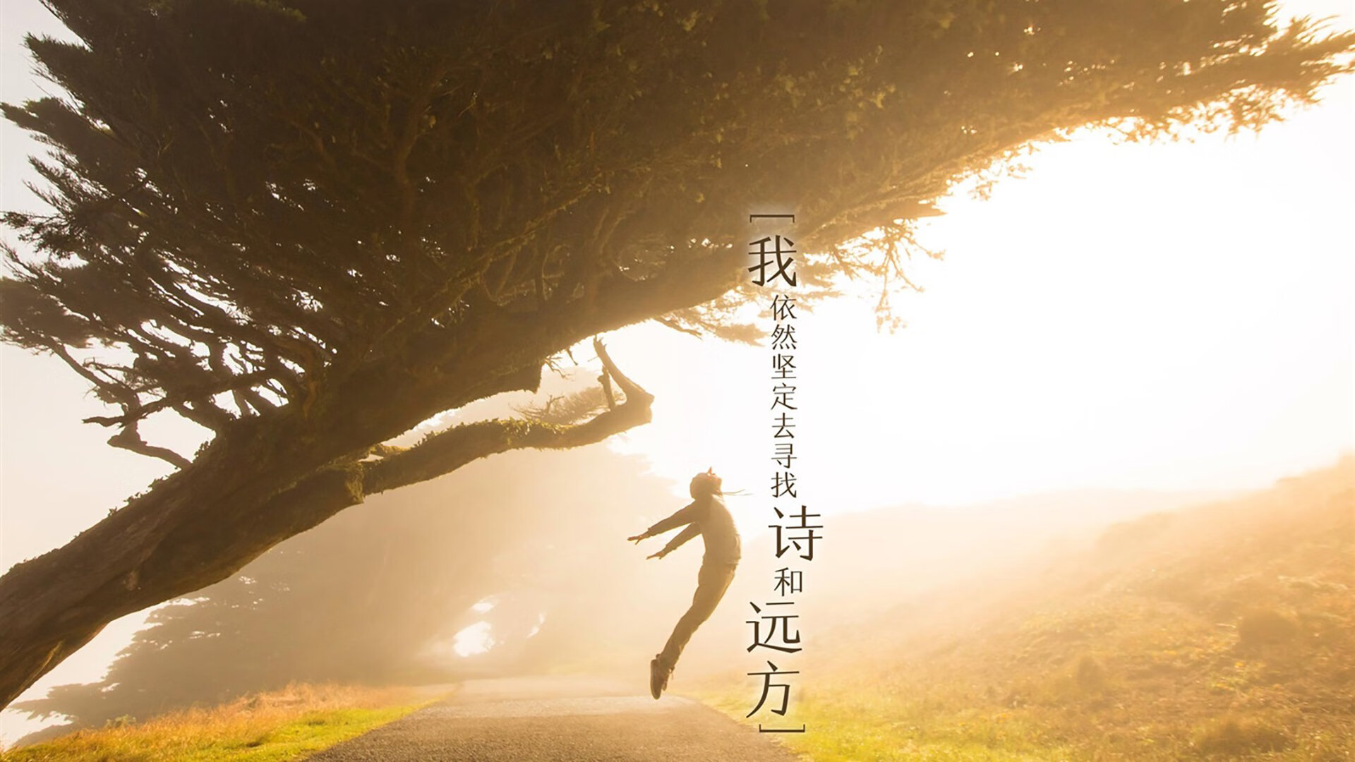 绝境重生，尼日利亚门神封神，哈兰德独木难支，非洲雄鹰击碎挪威童话